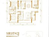 京基智农山海上园_5室2厅4卫 建面223平米