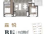 森兰航荟名庭_3室2厅2卫 建面100平米