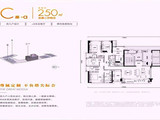 皇庭世茂裕玺_5室2厅4卫 建面250平米